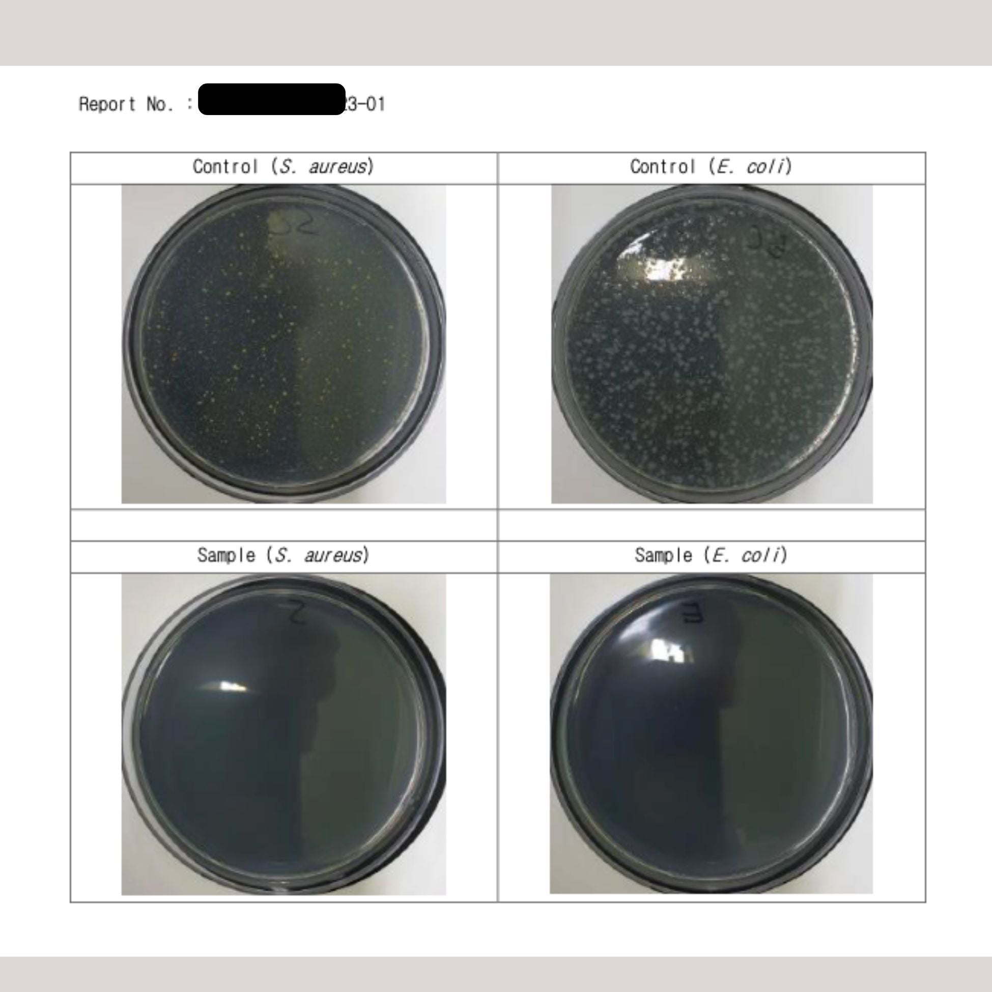 Wasabi Skin Sanitiser 30ml