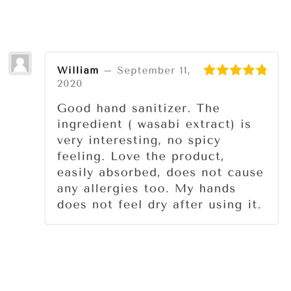 Copy of William sanitizer review insta